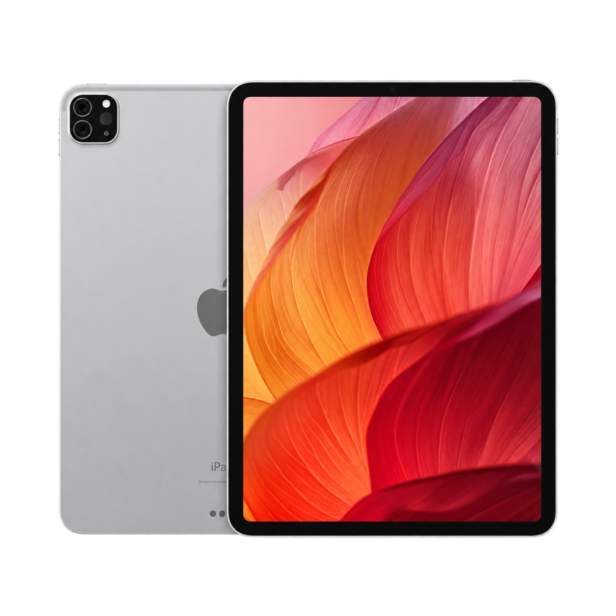 iPad Pro 11-inch